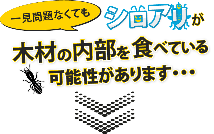 シロアリが木材内部を食べている可能性があります