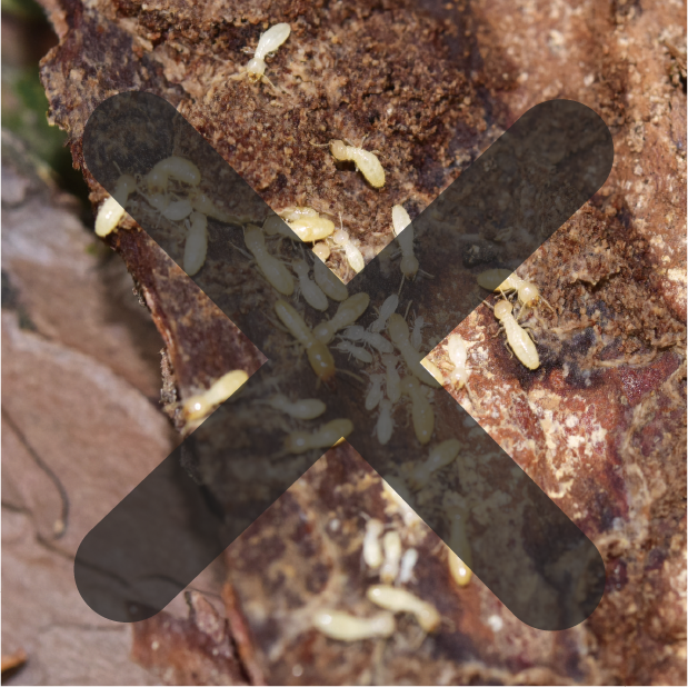 トラブルイメージ